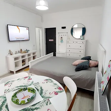 Seaside 2 Apartment Navodari